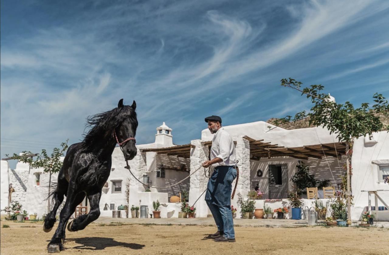 Rizes Mykonos - Folklore Farmstead Mykonos Town 외부 사진